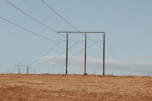 Decoding the 2024 Acura MDX Technology Package: Is It Worth the Upgrade?