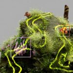 Beyond the Glasses: Demystifying the Real Impact of 3D Technology