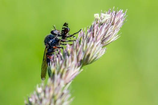 Unearthing the Real Value of Troegs Field Study